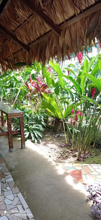 Hotel Cabinas Talamanca Sa Puerto Viejo de Talamanca Esterno foto